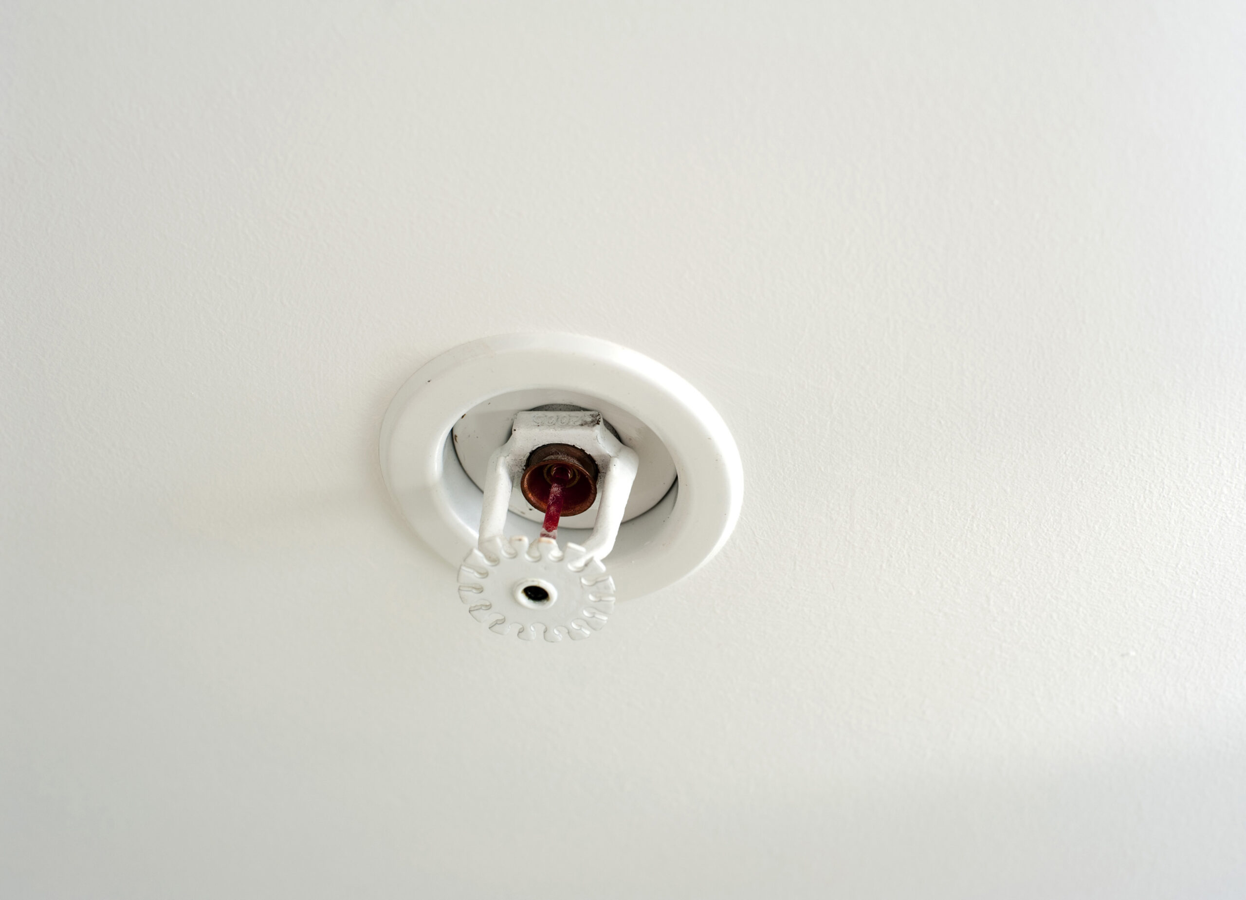 Close view of a commercial fire sprinkler head for inspection